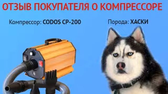 Отзыв Лена из Норильска - компрессор CODOS CP-200, порода - хаски смотреть онлайн