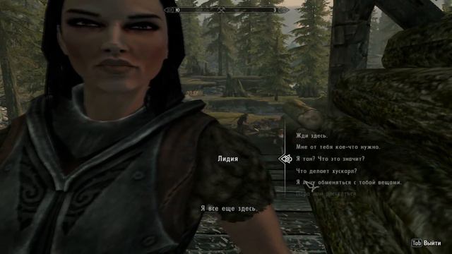 Скайрим Гайд для новичков смотреть онлайн