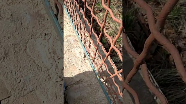 Жуки солдатики смотреть онлайн