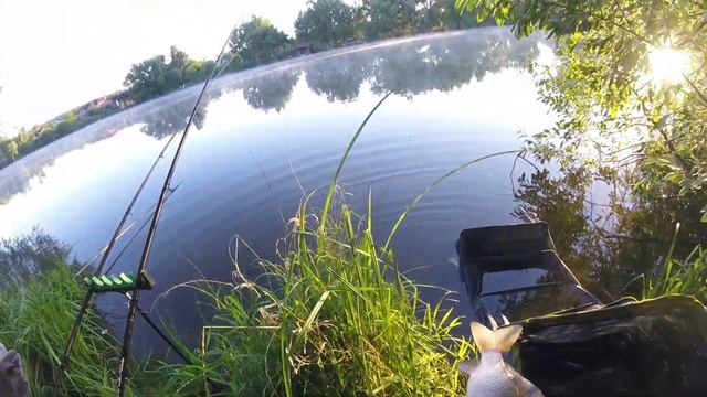 Классический фидер VS флэт метод фидер /Карась на фидер/Видеоотчет июль 2020 смотреть онлайн