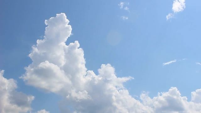среди.такой.природы.должна.быть.чистота.Давайте.позаботимся.убережом.возьмем.ответственность.за.дом смотреть онлайн