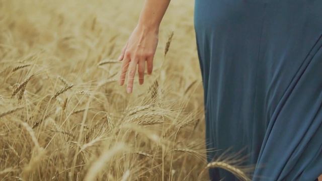 Jericho - The First City on Earth? смотреть онлайн