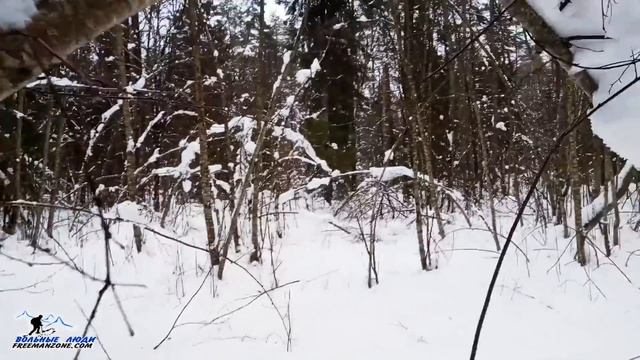 ВЫЖИВАНИЕ при БП. Выжить, а не сдохнуть, розыск, мародеры, одиночка, группа, волки в овечьих шкурах смотреть онлайн