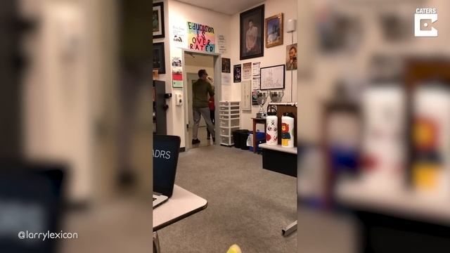 Teachers' Hilarious Rant To Motivate Students смотреть онлайн