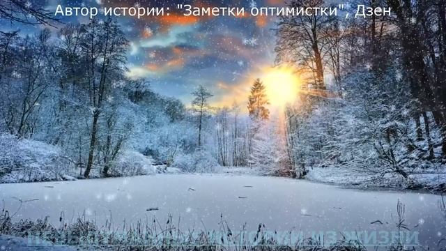 ?Эгоистка? Истории из жизни?Аудио рассказ?Жизненные истории✔️ смотреть онлайн