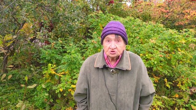 Можно ли вырастить яблоню из семечка?