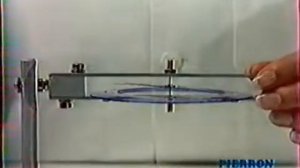 Физика. Компас. Магнитное поле Земли. 8 класс