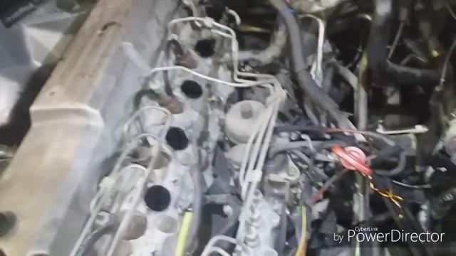 РАНЕНЫЙ КАБАН. смотреть онлайн