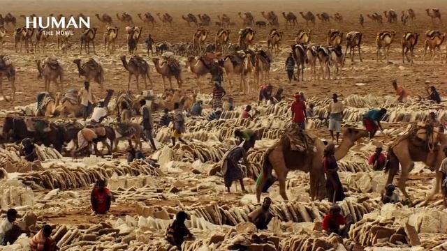 HUMANs Musics A film by Yann Arthus Bertrand Composed by Armand Amar online video cutter com смотреть онлайн