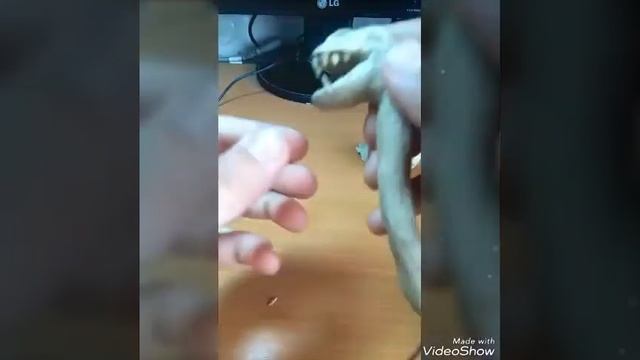 Как слепить дракона(часть 1) смотреть онлайн