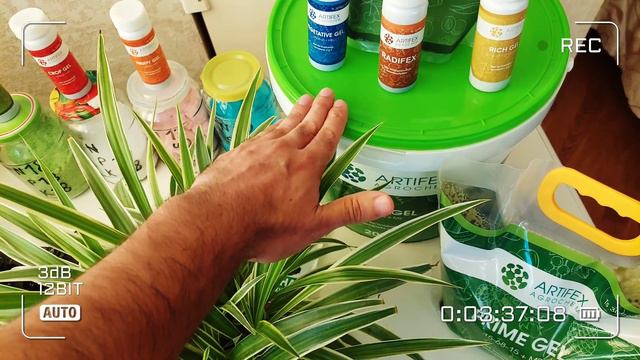 ХОНА ГУЛЛАРИ Монстера, Гортензия, Азалия, Антириум, Гардения ЭНГ ЧИРОЙЛИ ГУЛЛАР УЧУН НОРДОН ТУПРОК.