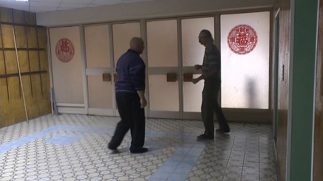 00010 Taiji Yongfa. JIngji Duli