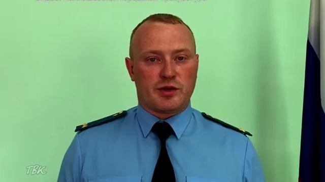 Колпашевский лесничий и лесозаготовитель под видом берёз вырубили кедры на 11 млн рублей смотреть онлайн