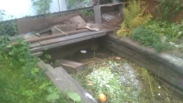 VIDEO0007 смотреть онлайн