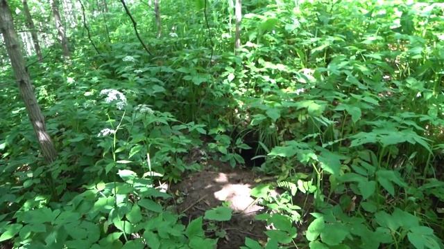 ПОДГОТОВКА К ПОСТРОЙКЕ ХОЗБЛОКА, ПРОГУЛКА В ЛЕС И ДАЧНЫЕ БУДНИ смотреть онлайн