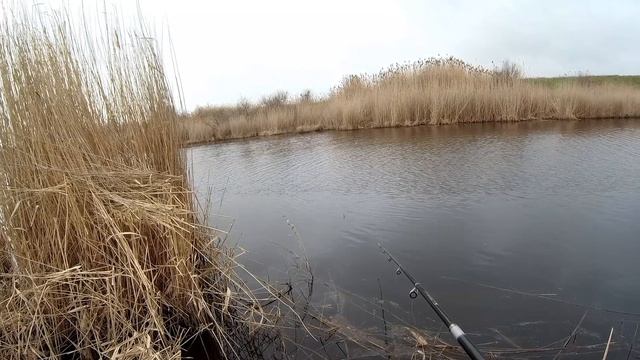 РЫБАЛКА НА ПОПЛАВОК НА ДЕРЕВЕНСКОЙ РЕЧКЕ !!! КАРАСЬ И ЩУКА смотреть онлайн