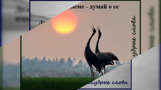 Цените жизнь смотреть онлайн