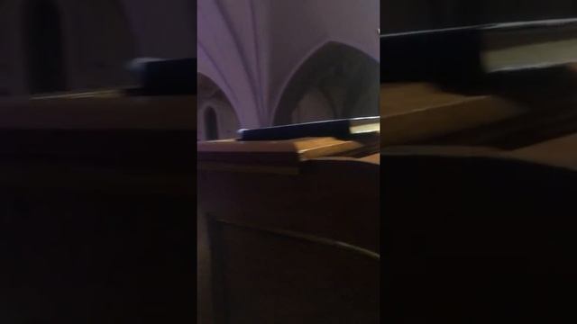 Elisey Mysin. Young Maestro's joke. Елисей Мысин. Шутка юного маэстро. смотреть онлайн