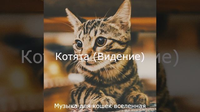 Звуки (Котята)