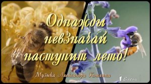 Однажды невзначай наступит ЛЕТО  *