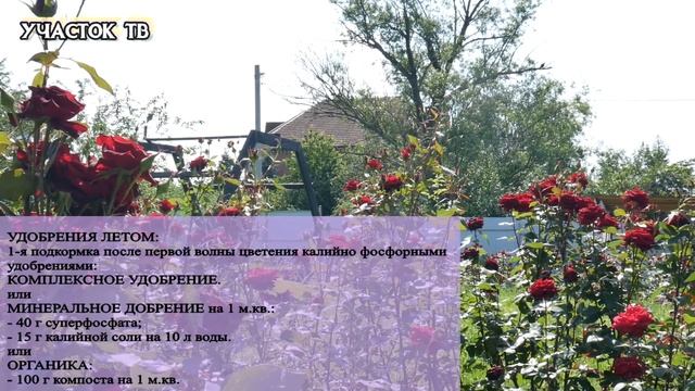 Строительные Премьеры