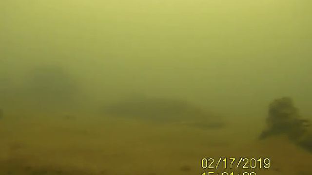 Сом Минское море смотреть онлайн