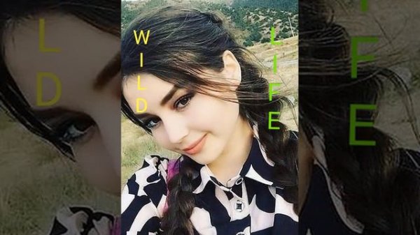 Валичон Азизов 2020 Дарди Нихони