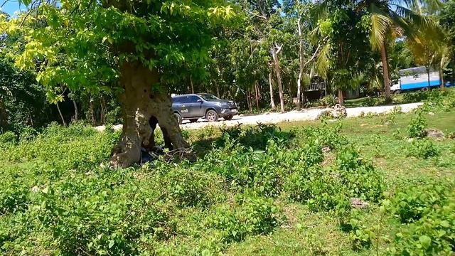 Жизнь в Ритме Технологий