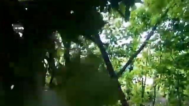 Реакция детей на сюрприз смотреть онлайн