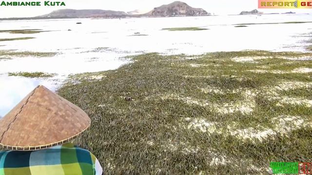 IMMERSION EN INDONESIE Part 13 - Ambiance de Kuta, île de Lombok смотреть онлайн