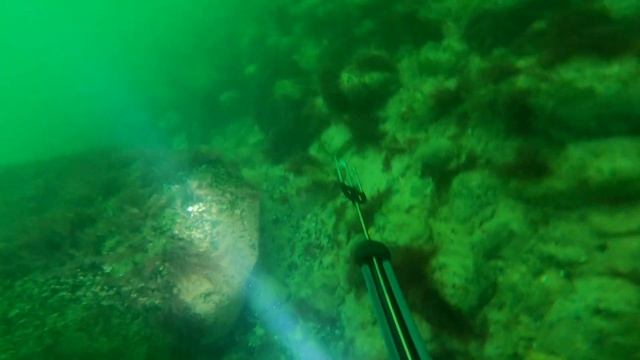 EP5 | Zemūdens medības Baltijas jūrā | Spearfishing in the Baltic sea - Ventspils смотреть онлайн