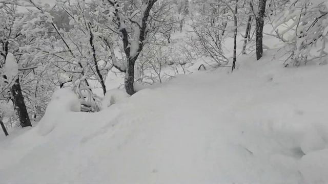 Горнолыжка Аджигардак 12.02. 2023г смотреть онлайн