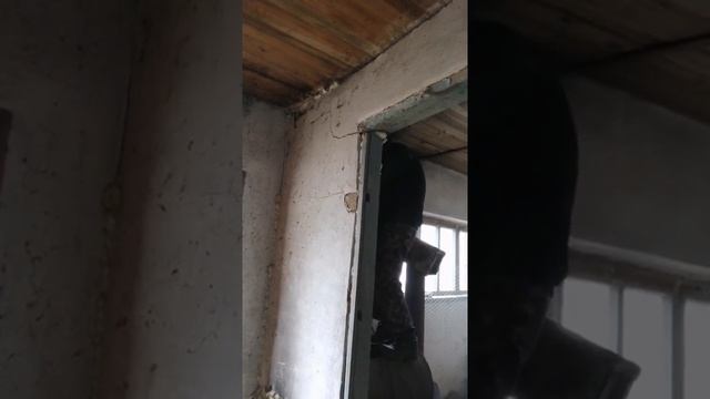 Вольерное содержание кроликов...реконструкция сарая.... смотреть онлайн