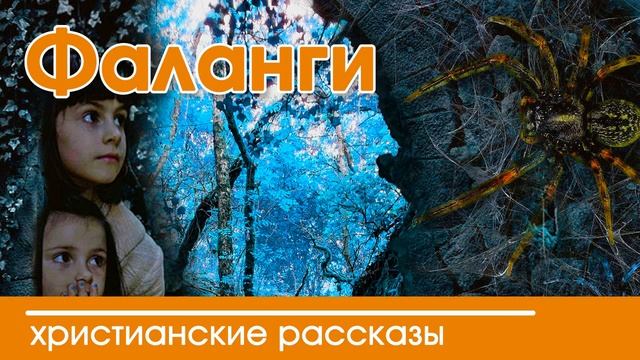 ИНТЕРЕСНЫЙ ХРИСТИАНСКИЙ РАССКАЗ "Фаланги" | Христианские рассказы смотреть онлайн