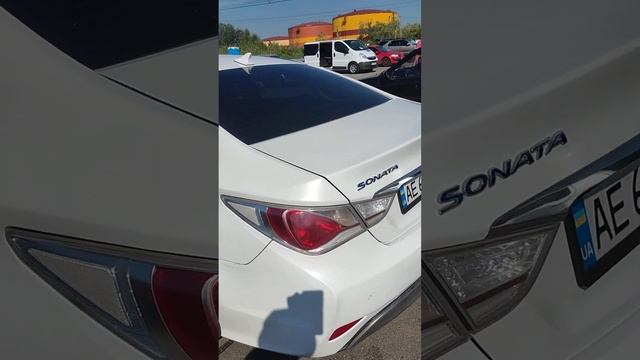 Hyundai Sonata 2013