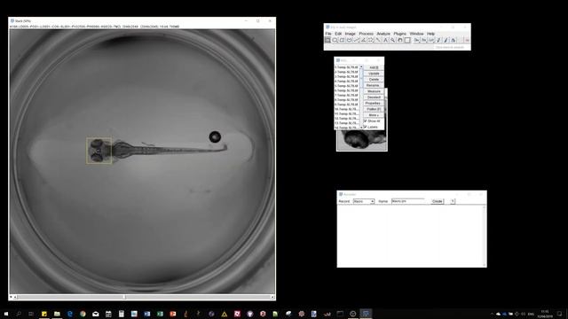 1.Multi-Template-Matching in Fiji : Installation and single detections смотреть онлайн