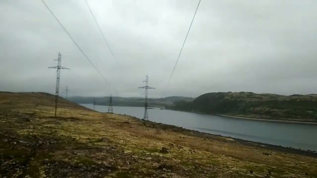 Медведи в Дальних Зеленцах. Часть 2. смотреть онлайн