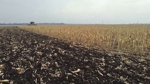 Трактор Claas Xerion 5000 и дисковая борона Lemken Heliodor Gigant 12S 1600 АПК Родное #8 смотреть онлайн