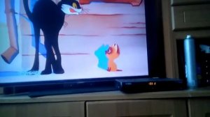 Котёнок Гав