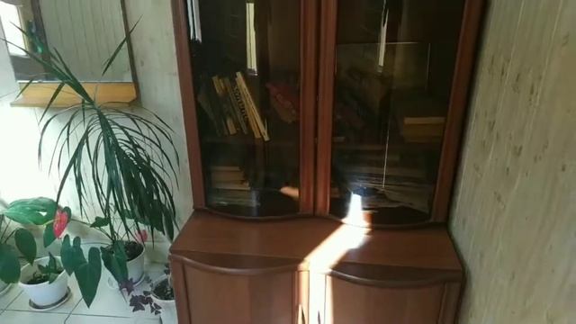 Доступные автомобили: Бюджетные решения для каждого