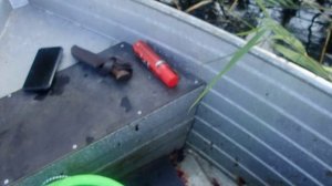 открытие охоты по боровой дичи  на избу