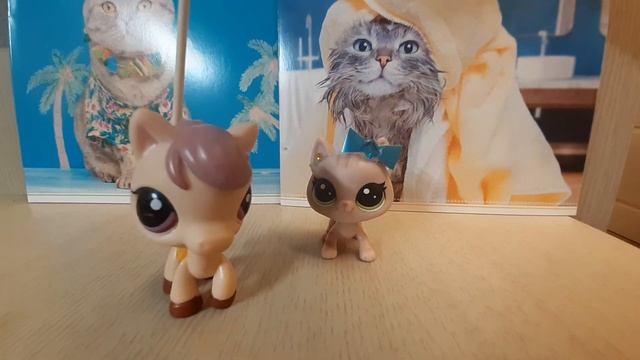 lps. обзор на всех моих лпс котов смотреть онлайн