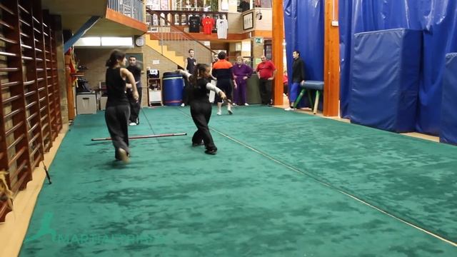 Wushu Fighting Techniques смотреть онлайн