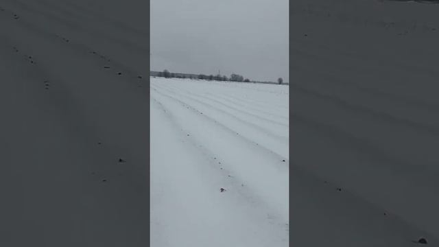 15.12.2021 Так выглядит наше поле сегодня. смотреть онлайн