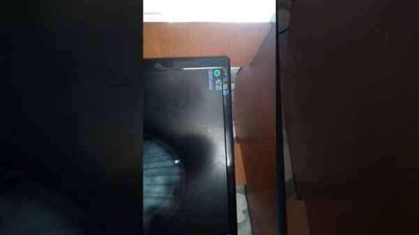 Момо игра в момо