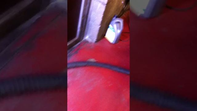 Ford sierra First start after 5 monts смотреть онлайн