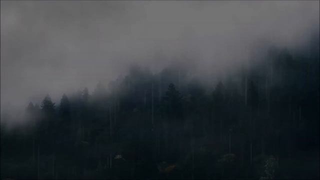LLUVIA RELAJANTE PARA DORMIR Y DESCANSAR 1 HORA Rain Sound for Sleeping Relaxing ASMR #42 смотреть онлайн