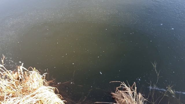 Где наловить малька в окрестностях Екатеринбурга? смотреть онлайн