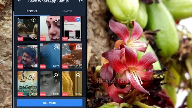 How to WhatsApp status saved in mx player|Malayalam|Hamictech Graphics смотреть онлайн