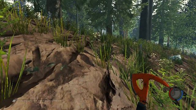 открываем пасхалки в TheForest (часть 1: великая удача) смотреть онлайн